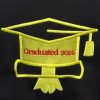 Adult University Graduation Hoodie - Image 3